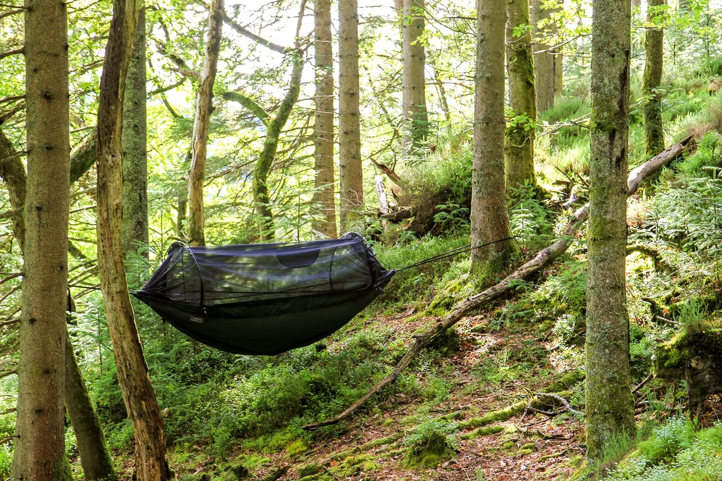 DD Hammocks DD hängmattor Frontline hängmatta