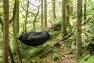 DD Hammocks DD hängmattor Frontline hängmatta