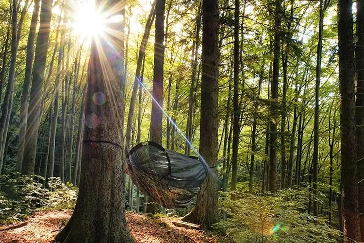 DD Hammocks Frontline XL Hängmatta