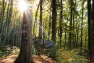 DD Hammocks Frontline XL Hängmatta