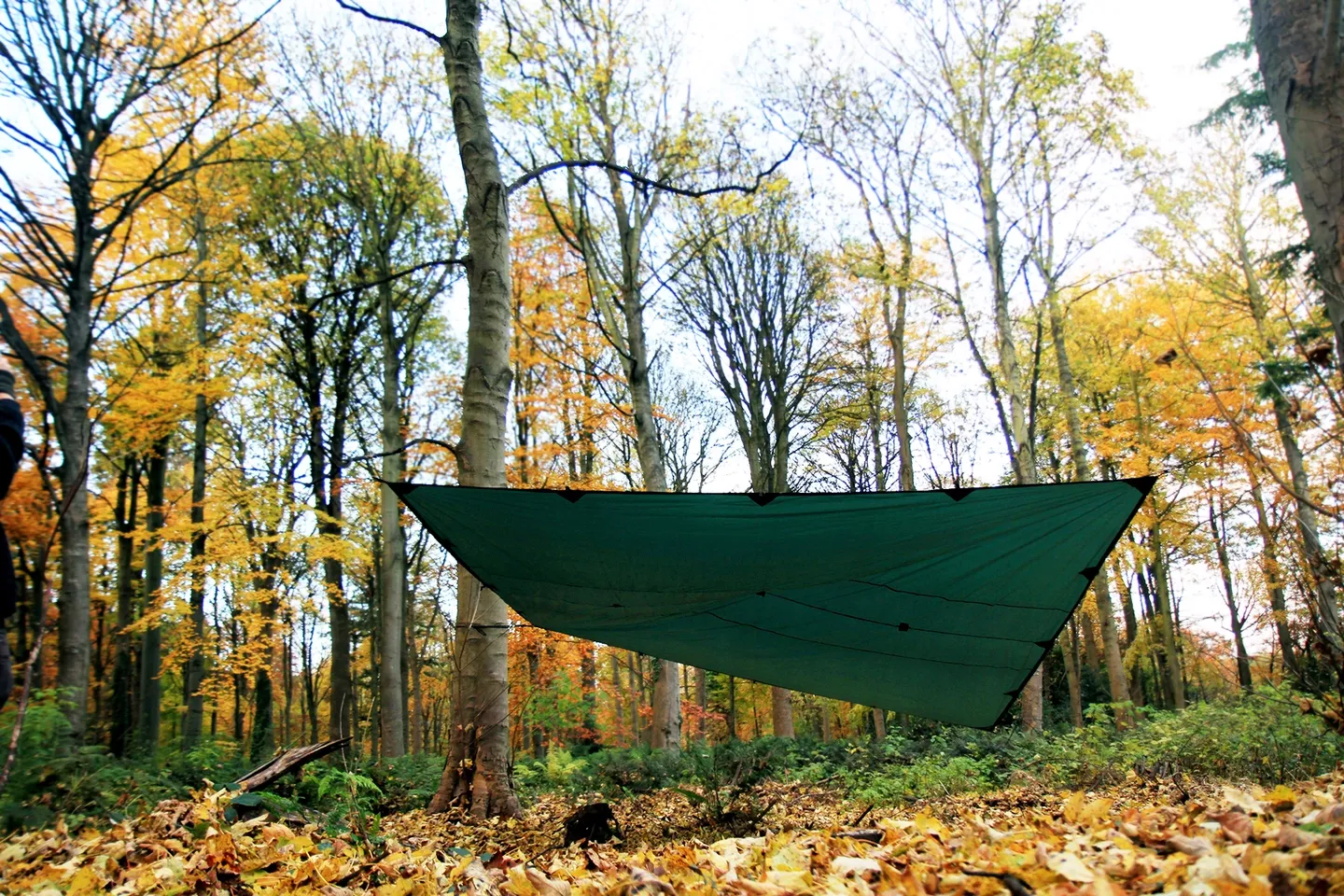 DD Hammocks Tarp DD Hammocks Tarp