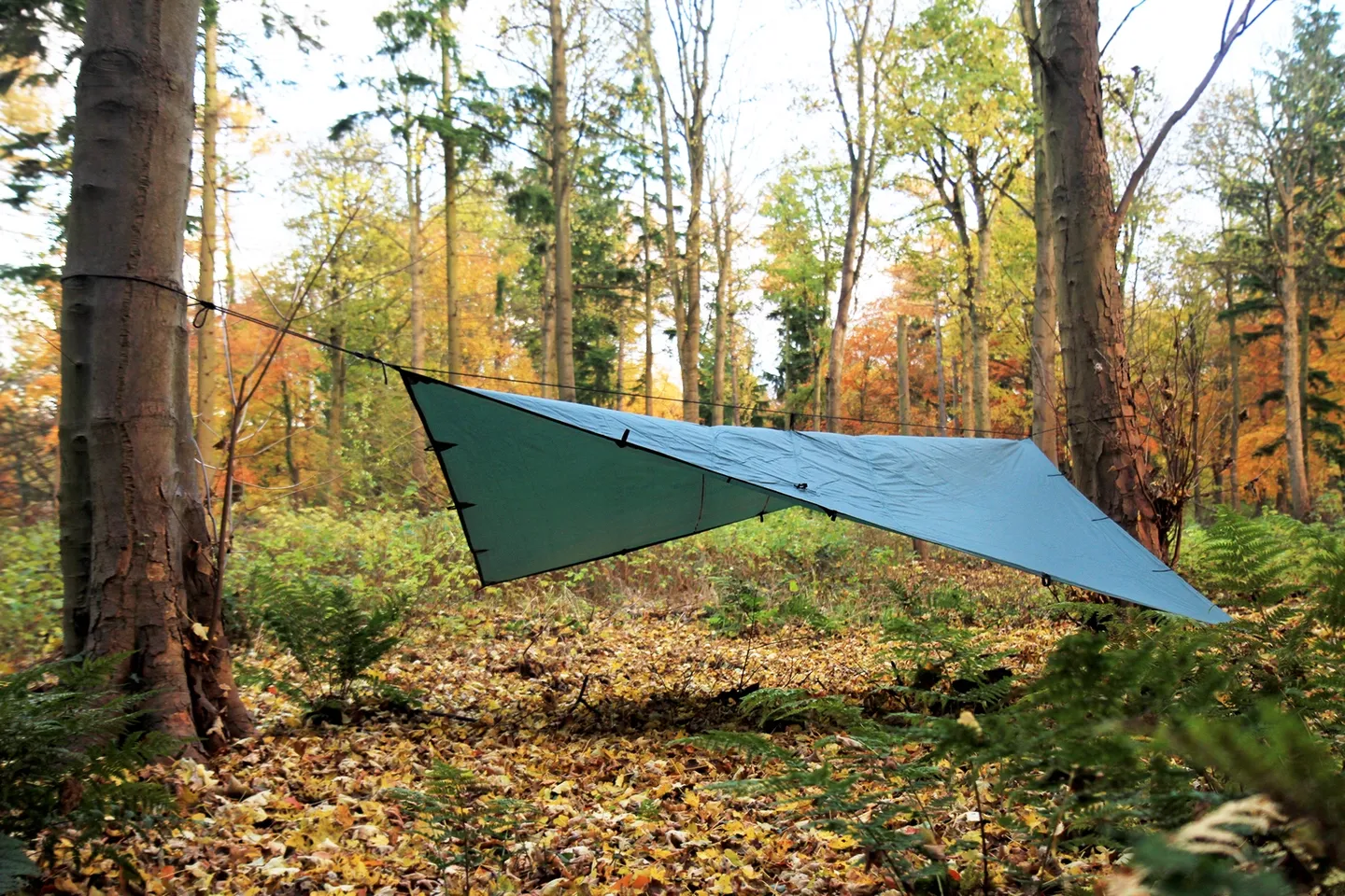 DD Hammocks Tarp DD Hammocks Tarp