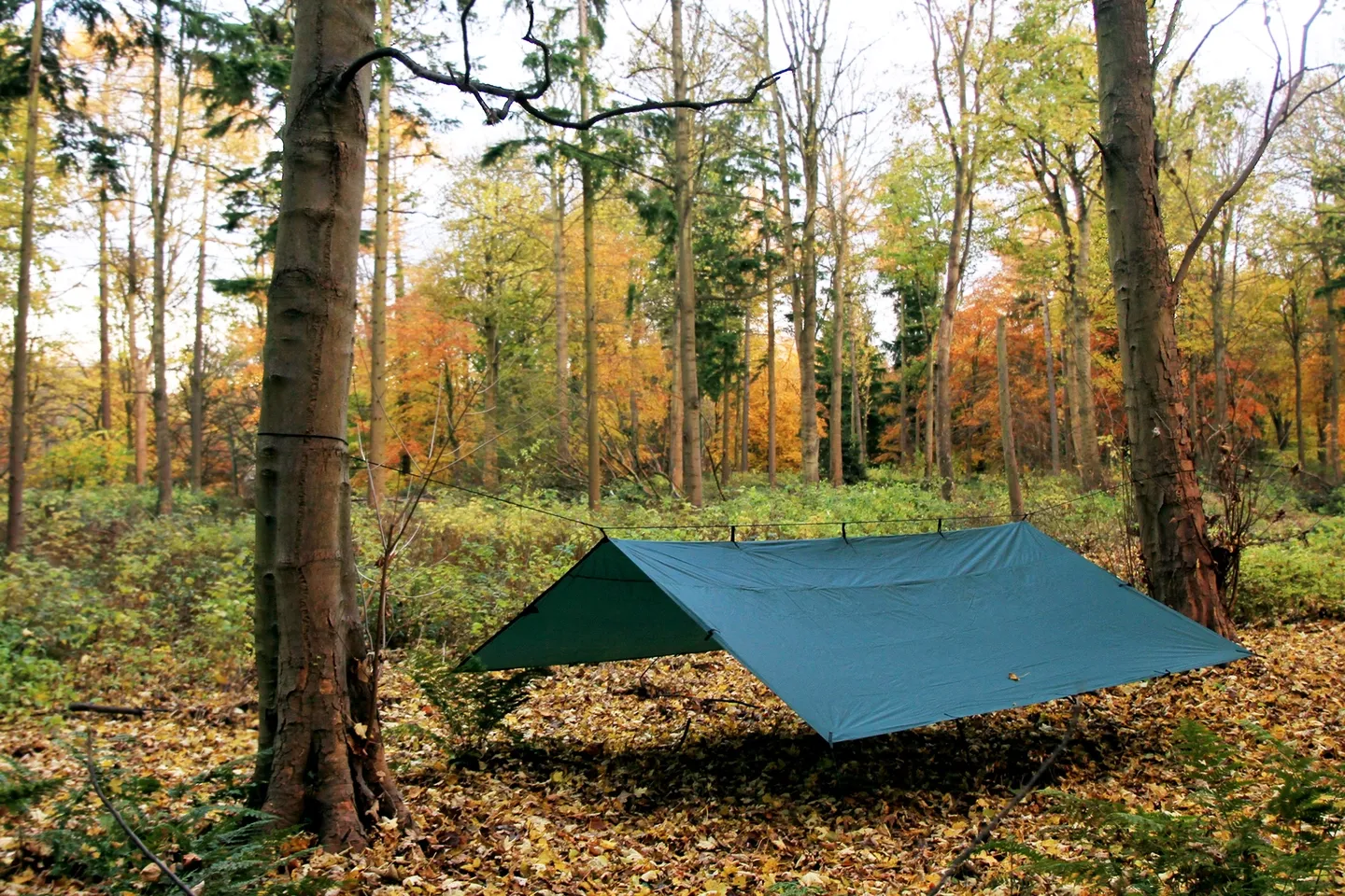 DD Hammocks Tarp DD Hammocks Tarp