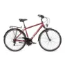 Dema Arosa 1 Cykel, Brown, L