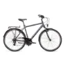 Dema Arosa 2 Cykel, Grey / black, M