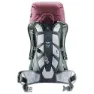 Deuter Rise Lite 26 Sl Ryggsäck, Maron / ivy