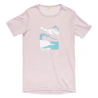 Devold Molnes Merino T-shirt Med Korta ärmar