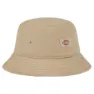 Dickies Clarks Grove Hatt