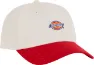 Dickies Hardwick