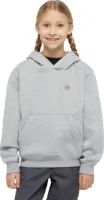 Dickies Kid's Oakport Hoodie Knit