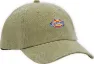 Dickies Men's Hardwick Duck Canvas Cap