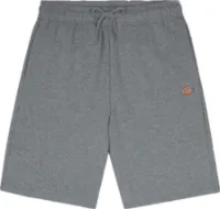 Dickies Men's Mapleton Short