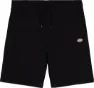 Dickies Men's Mapleton Short