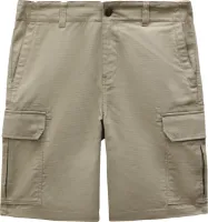Dickies Men's MILLERVILLE SHORT
