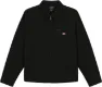 Dickies Men's Painter Jacket Canvas