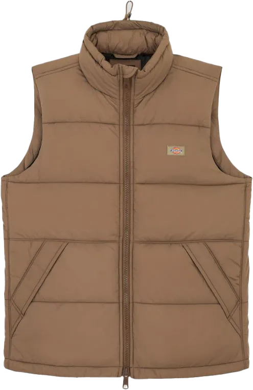 Dickies Men's Waldenburg Vest