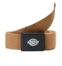 Dickies Unisex ORCUTT WEBBING BELT