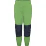 Algae green