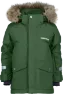 Pine Green