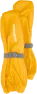 Oat Yellow