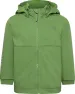 Algae Green