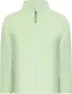 Light Algae Green