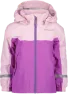 Tulip Purple