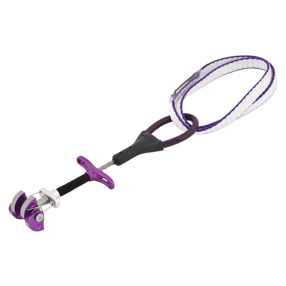 DMM Dragonfly Cam