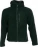 Forestgreen