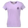 Lavender purple