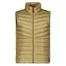 Bird brown 1