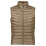 Bird brown 2