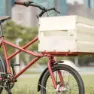 Dom Cargo Cykel, Red, One Size