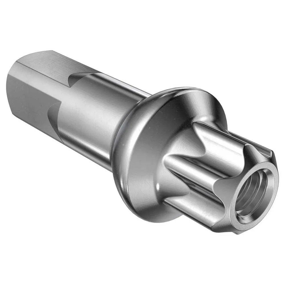 DT Swiss Brass Squorx Pro Head 2.0/fg 2.3 Nipplar, Silver, 15mm