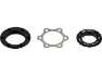 DT Swiss Bremsscheibenadapter Center Lock auf 6-Loch für Road, Black, One Size