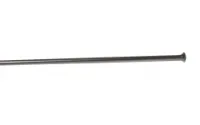 DT Swiss Competition 256 mm straightpull DT Swiss Competition 256 mm straightpull