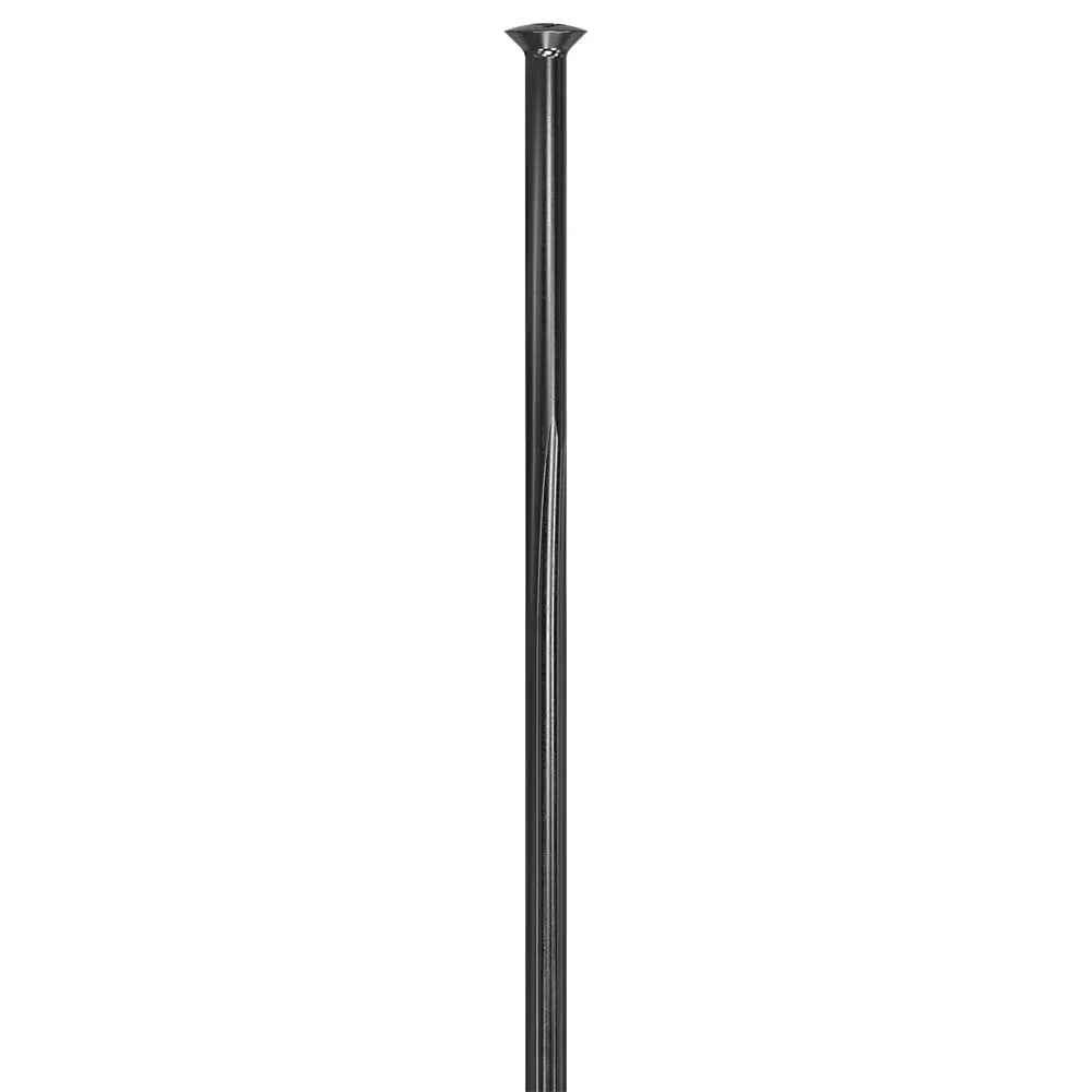 DT Swiss Complite Sp Ekrar 100 Enheter
