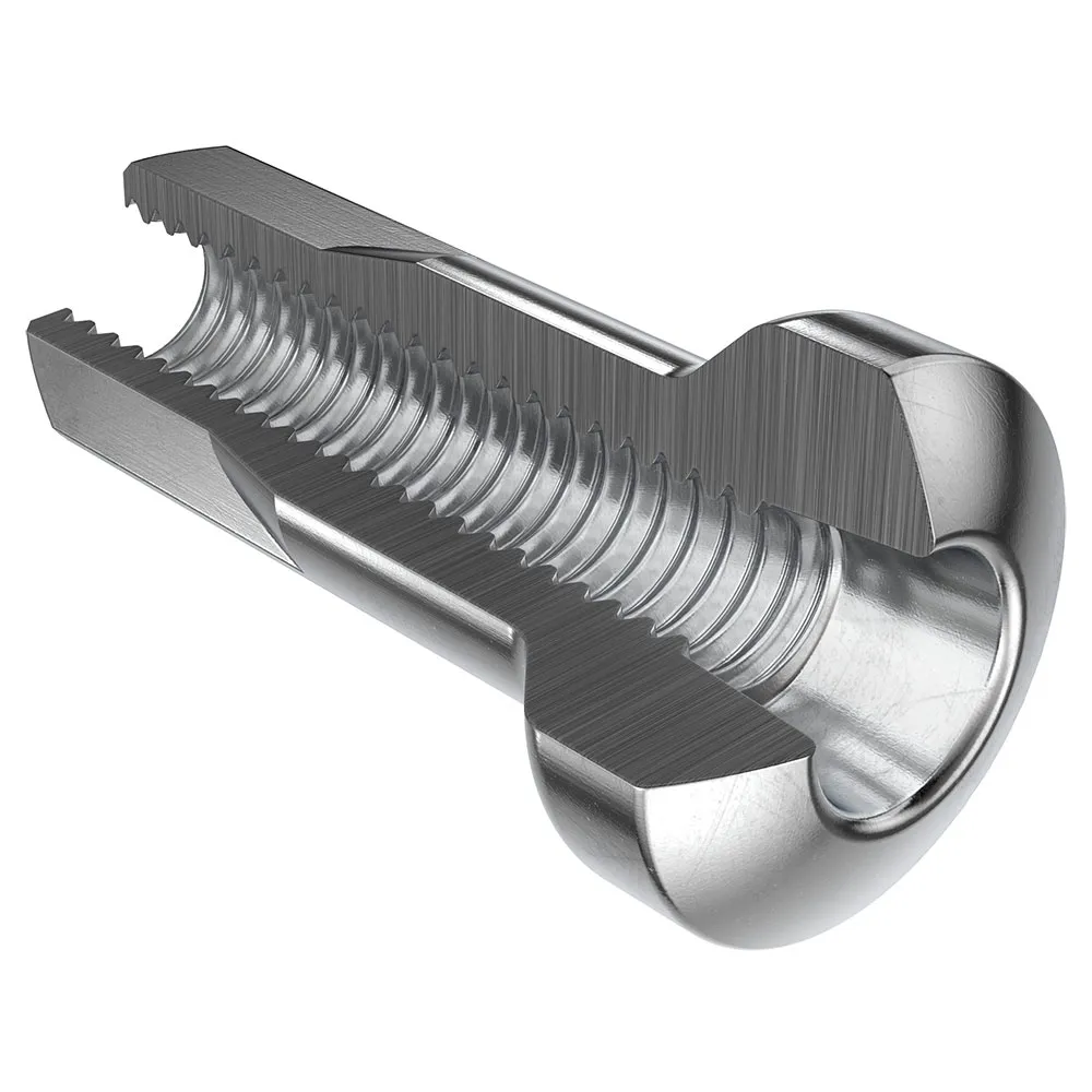DT Swiss Dt Hidden Pro Lock Nipplar 100 Enheter, Silver, One Size