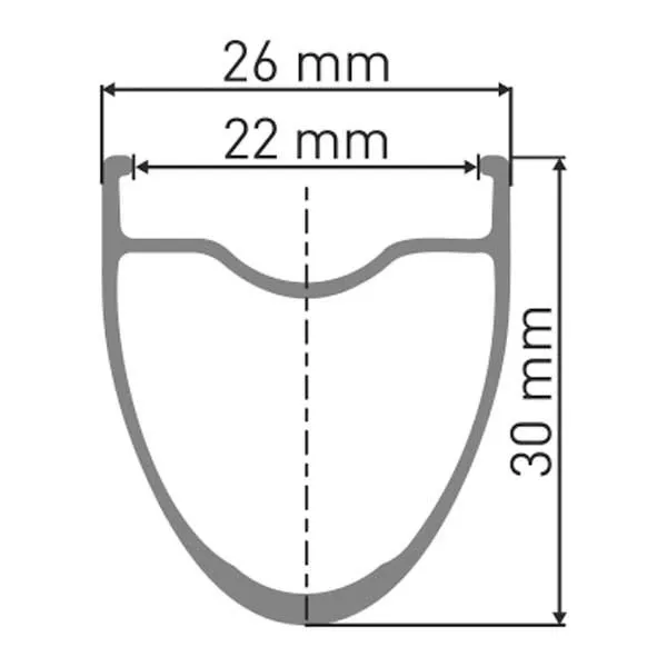 DT Swiss Er 1600 Spline 30 Disc Tubeless Landsvägscykelns Bakhjul