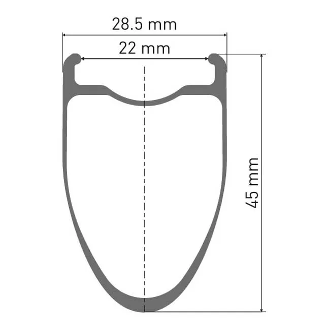 DT Swiss Erc 1100 Dicut 45 Disc Cl Tubeless + Continental Aero 111 700 X 29 Framhjul För Landsvägscykel, Black, 12 x 100mm