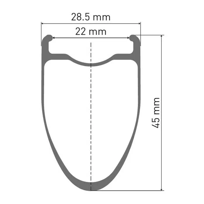 DT Swiss Erc 1100 Dicut 45 Disc Cl Tubeless + Continental Gp5000 Str 700 X 30 Landsvägscykelns Bakhjul, Black, 12 x 142mm, Shimano/Sram HG