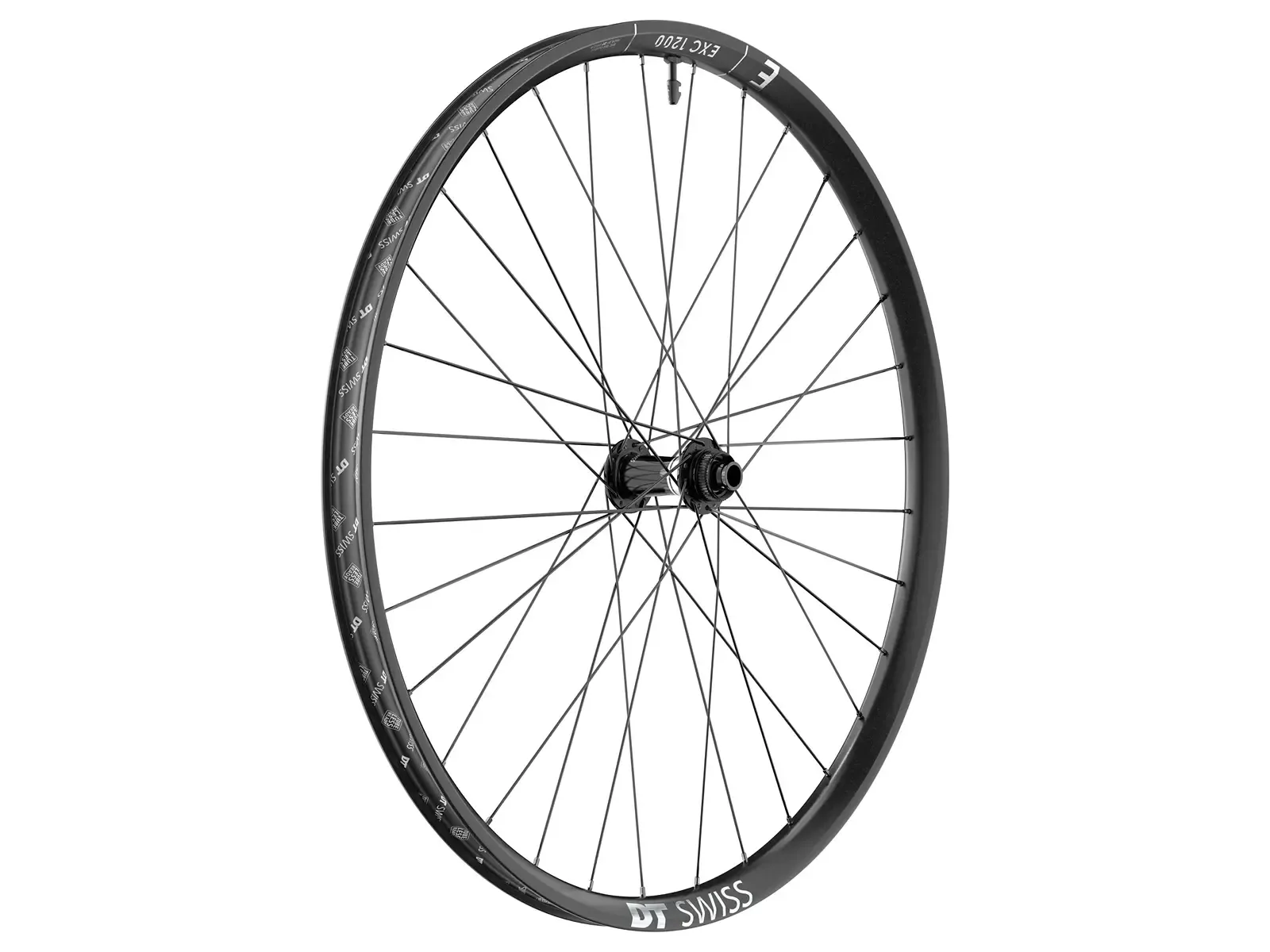 DT Swiss EXC 1200 classic 22 29"hookless framhjul centerlock, Black, 15 x 110mm DT Swiss EXC 1200 classic 22 29"hookless framhjul centerlock, Black, 15 x 110mm