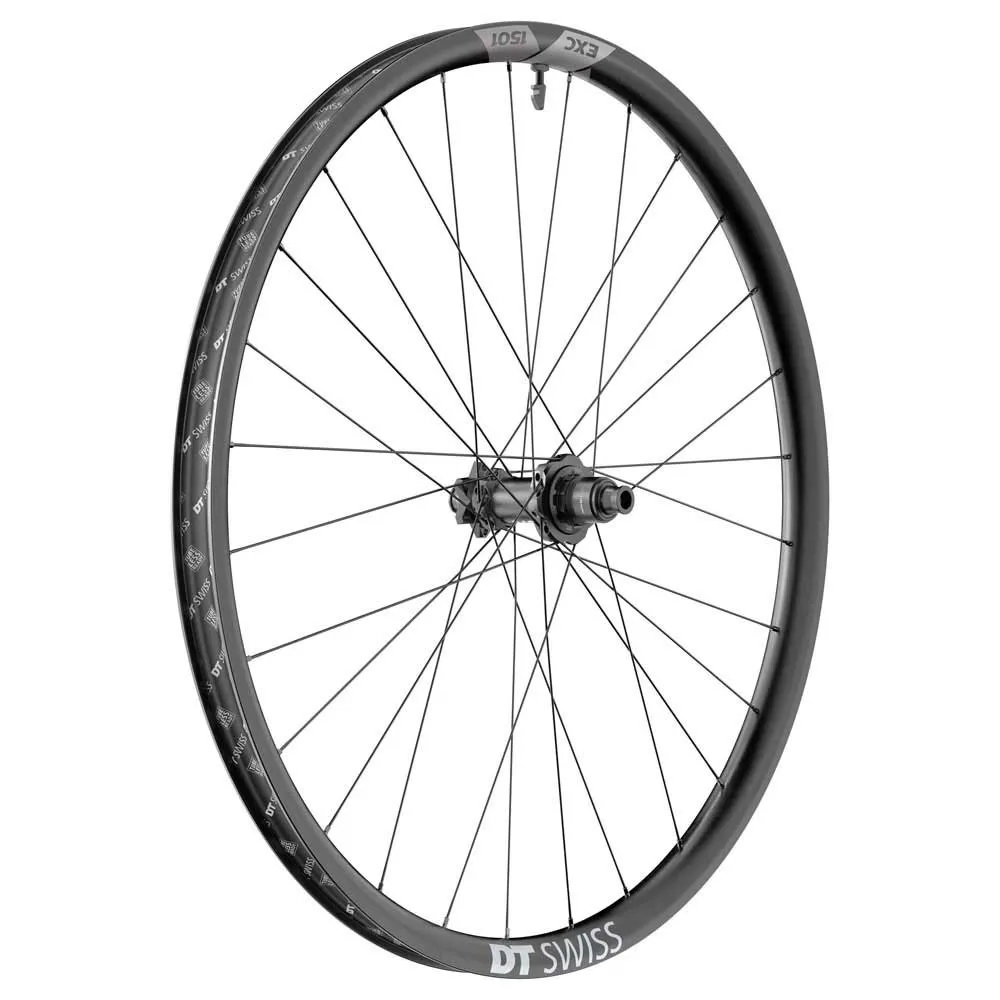 DT Swiss Exc 1501 Spline 30 29´´ Is Disc Tubeless Mtb Bakhjul, Black, 12 x 148mm, Sram XD