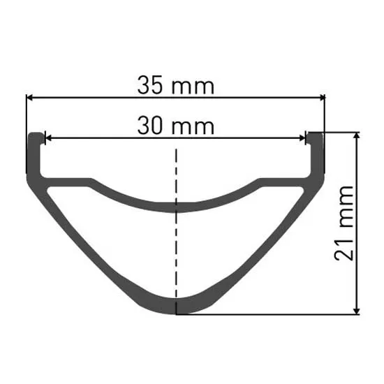 DT Swiss Hx 1700 Spline 30 29´´ Cl Disc Tubeless Bakhjul