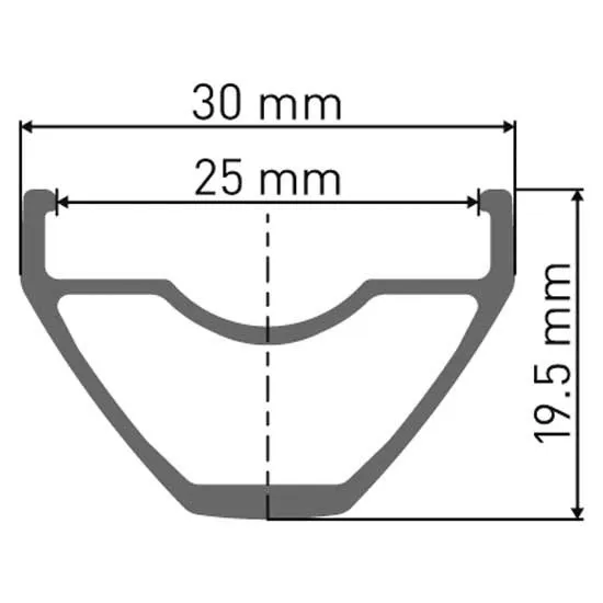 DT Swiss M 462 Disc 29" Felge