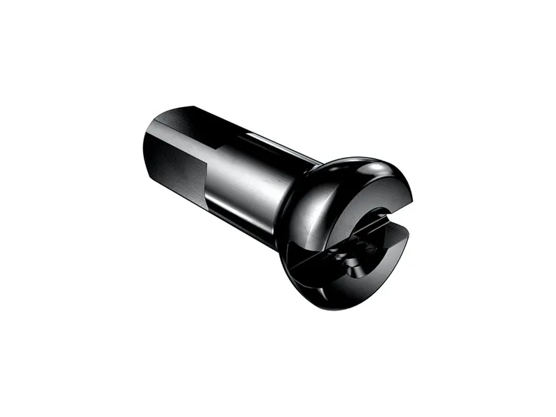 DT Swiss Pro Lock Standard Eikenippel, Svart