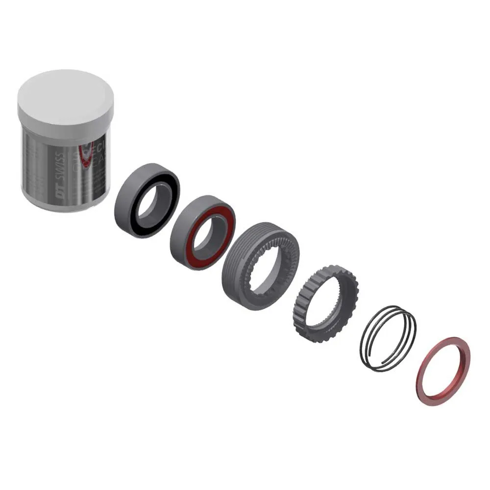 DT Swiss Ratchet 54t 240 Exp Servicekit, Silver, One Size DT Swiss Ratchet 54t 240 Exp Servicekit, Silver, One Size