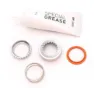DT Swiss Ratchet EXP 36 Service Kit