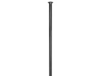 DT Swiss Revolite Straight Pull eker