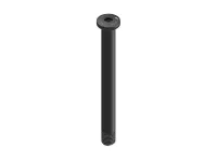 DT Swiss RWS Ø12mm TA Framaxel DT Swiss RWS Ø12mm TA Framaxel